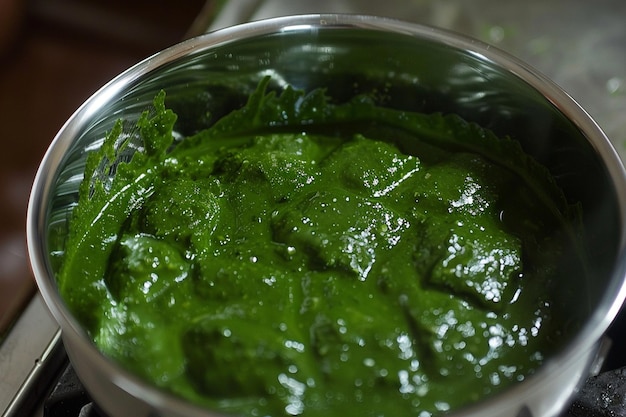 Palak paneer with a pinch of coriander powder