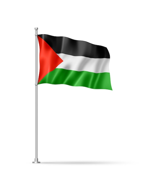 Palestinian flag isolated on white