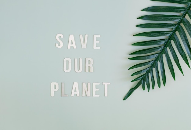 Palm branch and inscription save our planet on light green