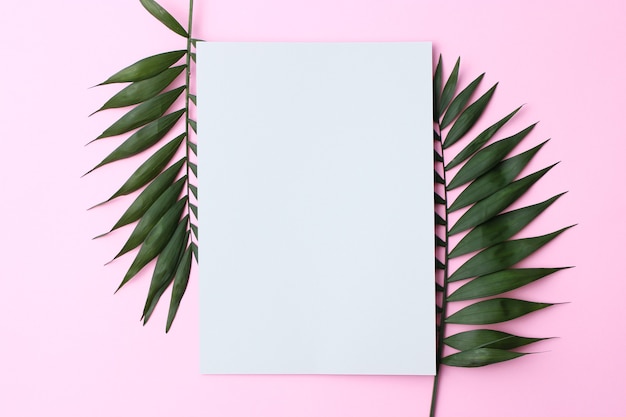 Palm branches on a colored background top view with place for text