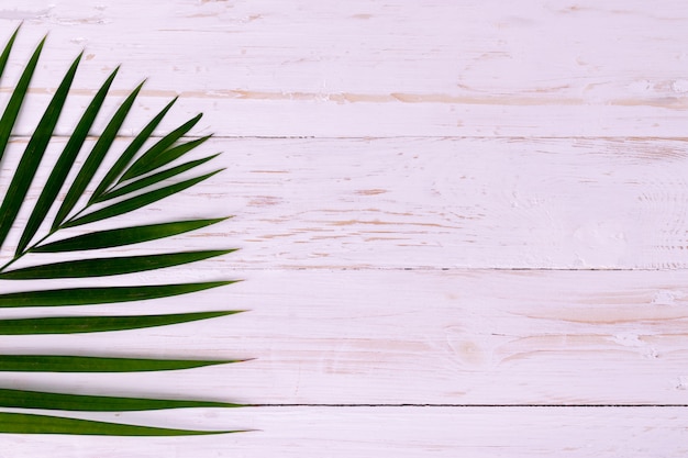 Palm coconut leaves on white wood