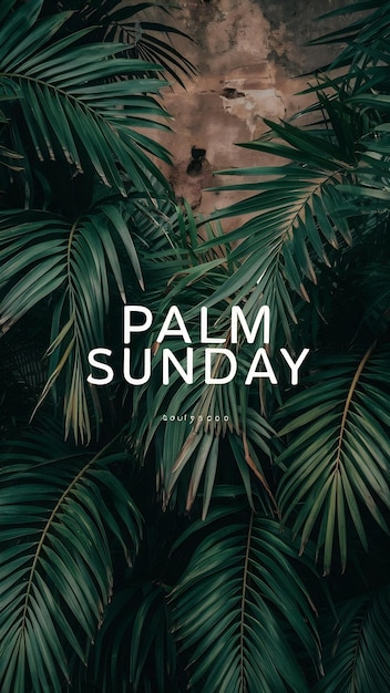 Palm leaves on the background of old wall with space for a concept for palm sunday warm sunshine