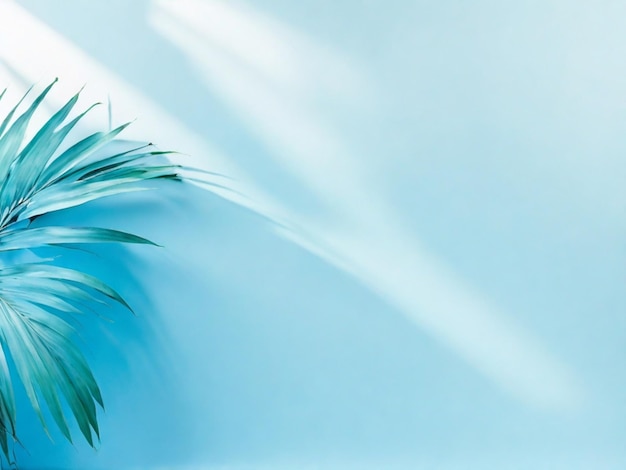 Palm leaves on a light bluegreen background toned template for text panorama with copy space