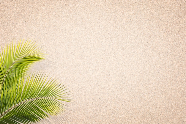 Palm leaves on Sand Texture background . Brown sand. Background from fine sand. Sand background