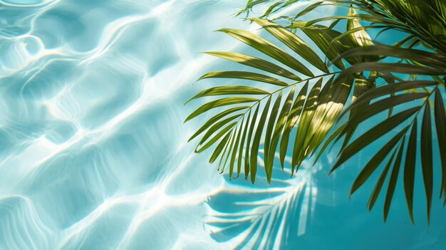 Palm leaves shadow in the swimming pool water for natural cosmetics or summer vacation holiday trip