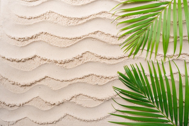 Palm leaves on wavy sand beach background.