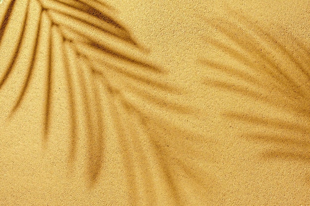 Palm shadow branches on a textured sea beach in sunlight