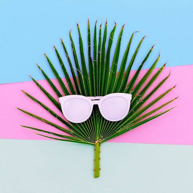 Photo palm and sunglasses. tropic style minimal