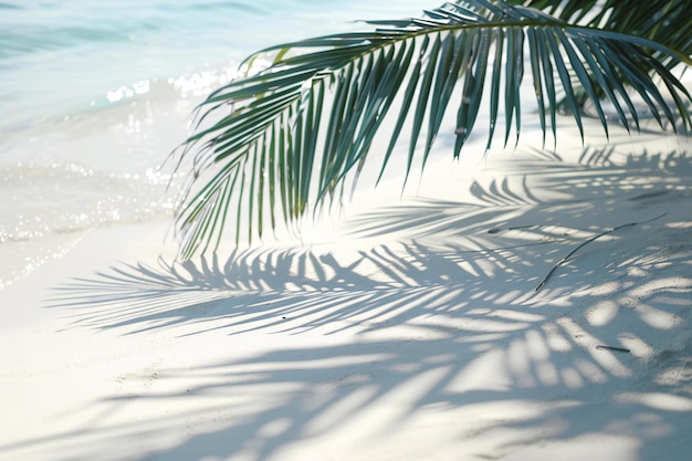 a palm tree on a beach with the sun shining through the leaves