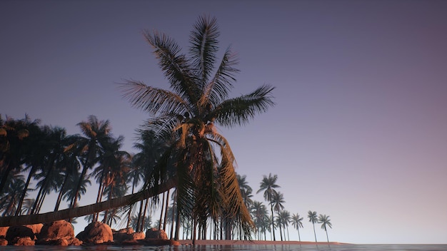 Photo a palm tree on the beach