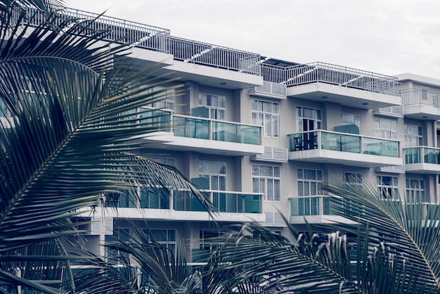 Palm tree branches level windows multistorey building modern green glass balcony Architecture background