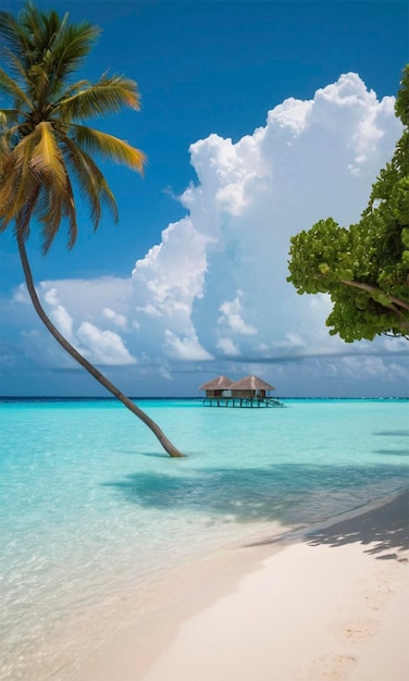 a palm tree is on a beach with a house on the left