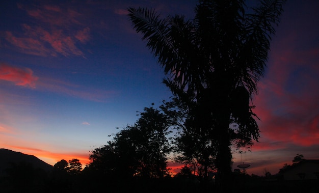 Photo a palm tree is silhouetted against a sunset sky