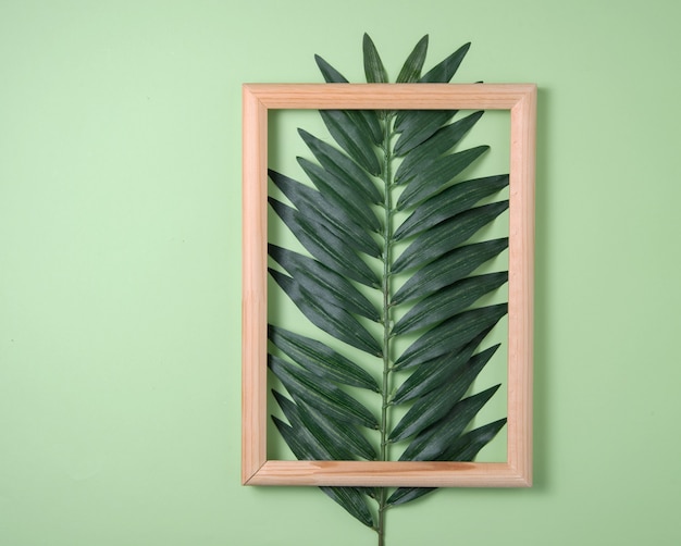 Palm tree leaf and wooden frame on green background. Top view