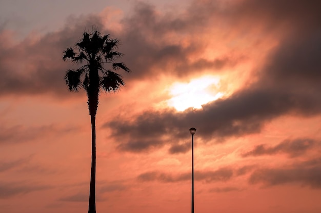 Palm tree and street lamp heavy dramatic clouds and bright sky Beautiful African sunset over the lagoon