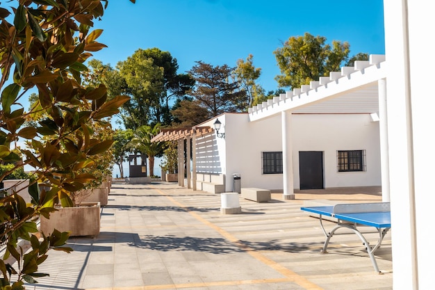 Palm tree and white buildings in the municipality of Mijas in Malaga Andalusia