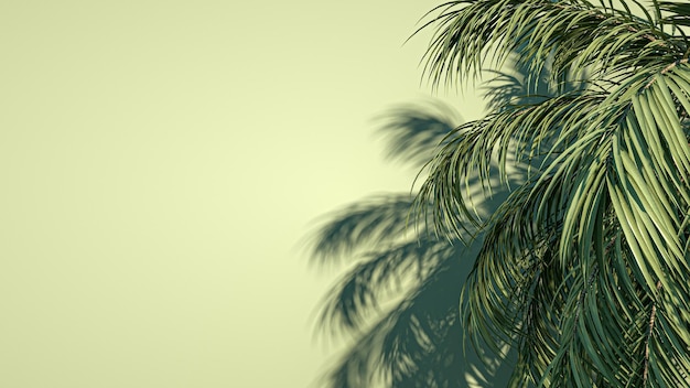 A palm tree with a green background