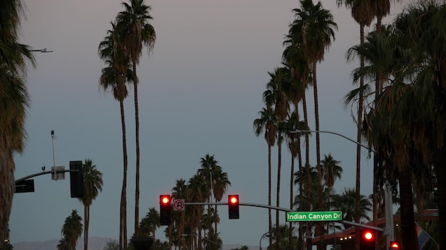 Palm trees in city near los angeles street road sign semaphore traffic lights