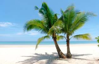 Tropical landscape photos