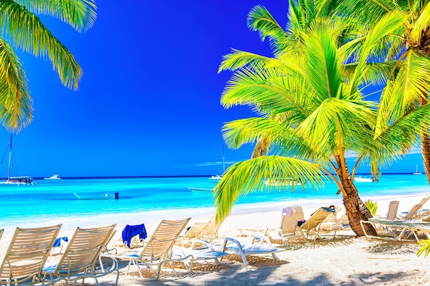 Palm trees with sun loungers on the caribbean tropical beach Saona Island Dominican Republic Vacation travel background