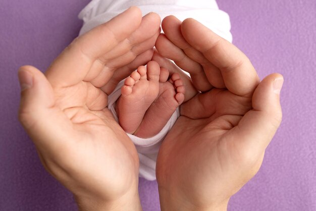 The palms of the parents A father and mother hold the feet of a newborn child in a white blanket on a purple background The feet of a newborn in the hands of parents Photo of foot heels and toes