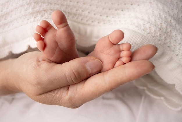 The palms of the parents A mother hold the feet of a newborn child in a white blanket on a white background The feet of a newborn in the hands of parents Photo of foot heels and toes