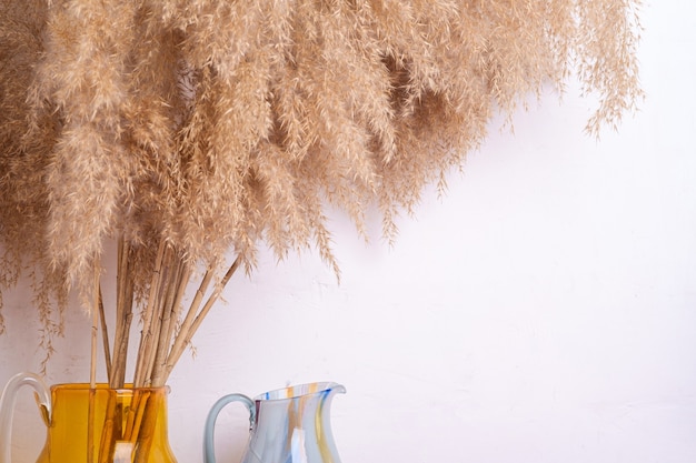 Pampas grass reeds in glass vase near to white wall, bohemian home interior decoration