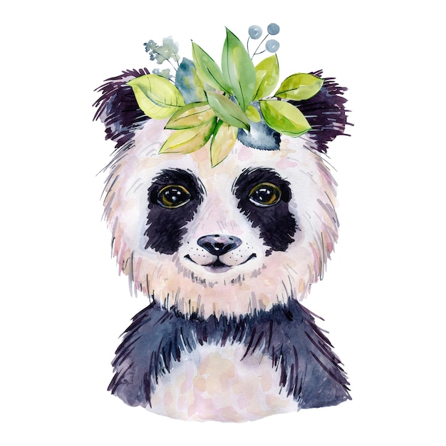 Panda watercolor illustration