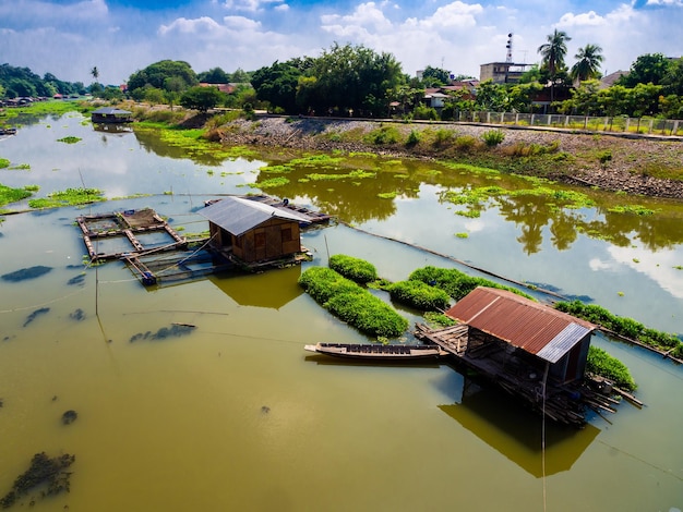 Pandan plant floating farm in plant floating on a river