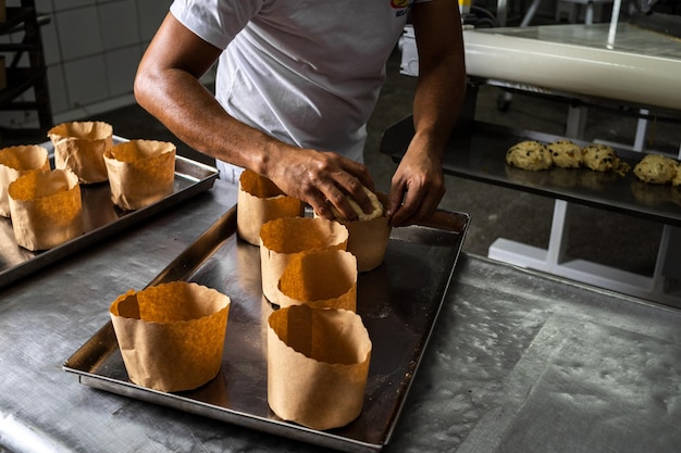 Panettone. Industrial production of Christmas panettone