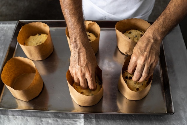 Panettone. Industrial production of Christmas panettone