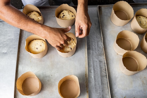 Panettone. Industrial production of Christmas panettone