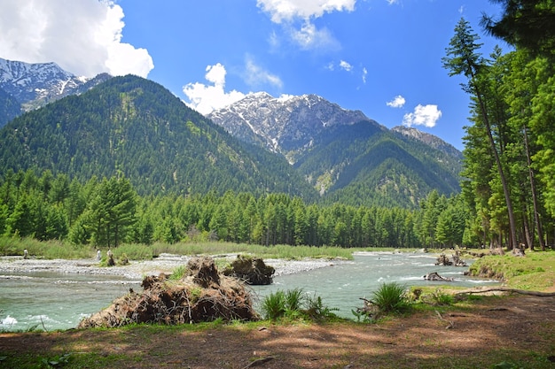 Panjokra River Kumrat Valley Pakistan