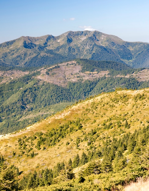 Panorama of Carpathian mountains in summer sunny day