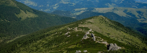 Panorama of Carpathians mountains on summer morning