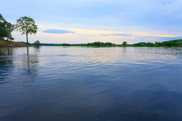 Panorama from Amazon rainforest Brazilian wetland region Navigable lagoon South America landmark Amazonia