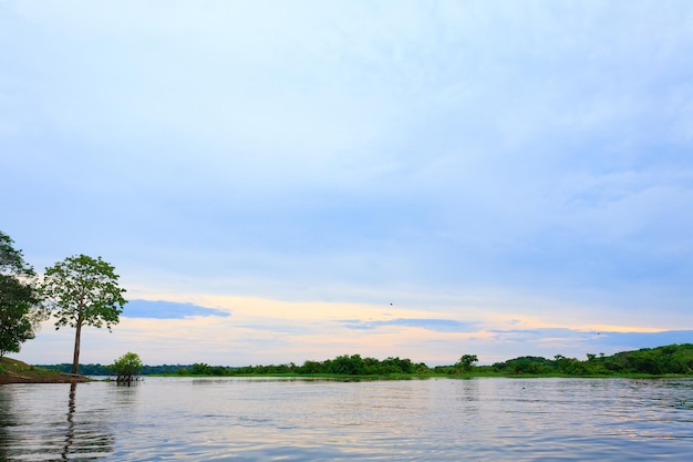 Panorama from Amazon rainforest Brazilian wetland region