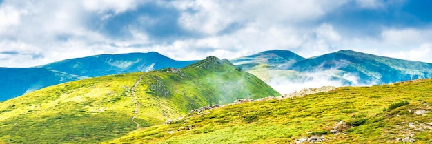 Panorama of green mountains with green grass and peaks in fog