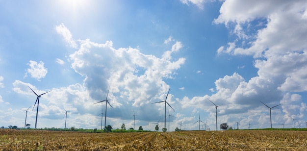 Panorama of Many wind turbine in meadow.