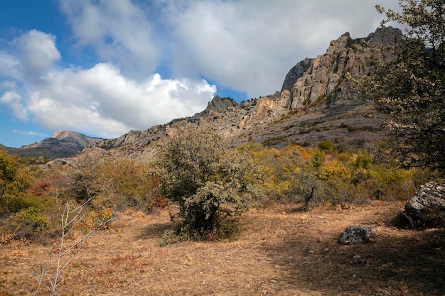 Panorama of the mountain landscape of the Crimean peninsula...