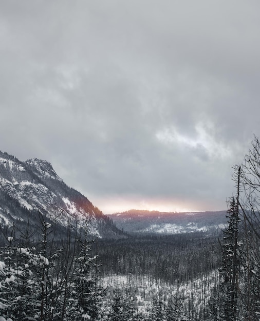 Panorama of mountain valley during snowy day in winter landscape during sunset mountain summit