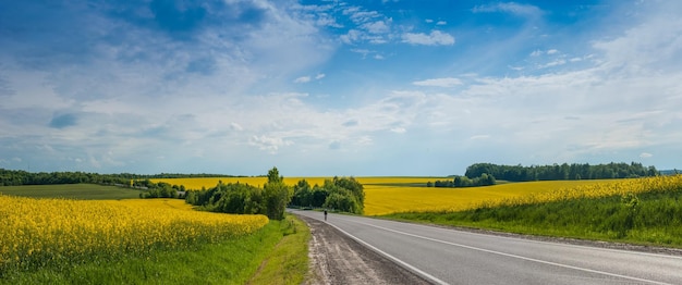 Panorama on the road beautiful view of yellow and green fields and blue sky