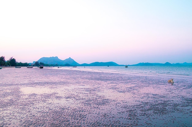 Panorama scenatic view of seascape with trsditional fishing boat and beautiful blue ocean South East Asia Thailand