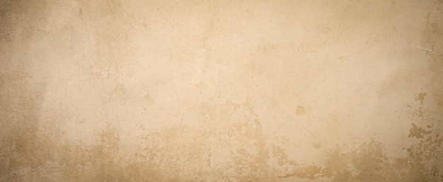 Panorama shot of old paper texture Paper vintage background