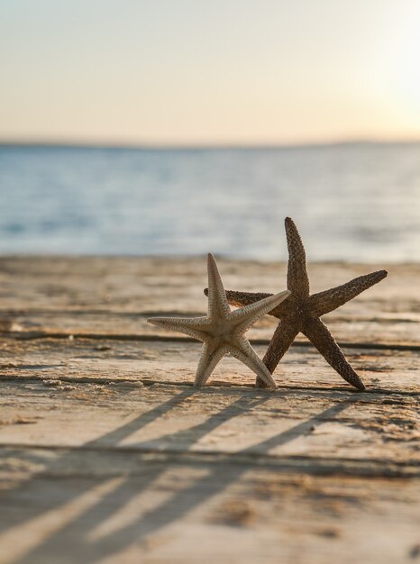 Panorama of summer beach with starfish and blue sea surface Landscape of tropical summer Summer vacation concept