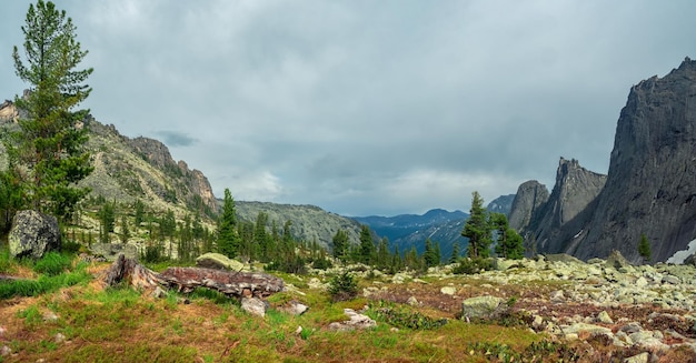 Panorama of a sunny mountain glade in the Western Sayans Bright flowers in a meadow among ancient boulders covered with moss on the background of mountains under a cloudy sky in changeable weather