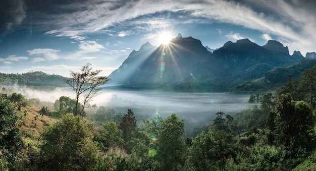 Panorama of sunrise over Doi Luang Chiang Dao mountain range with foggy in tropical rainforest in the morning at Ban Na Lao Mai