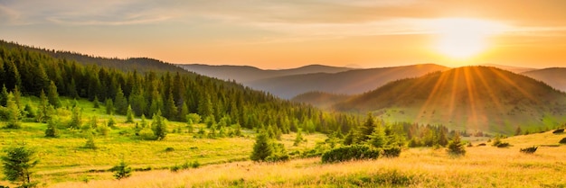 Panorama of sunset in the mountains with forest green grass and big shining sun on dramatic sky