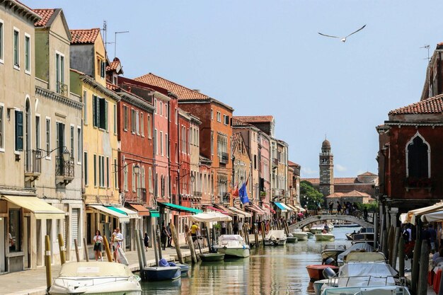 Panorama of venice grand canal and santa maria della salute church on sunset