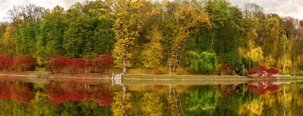 Panorama a view of an autumn city park from the opposite bank of the river with a long alley and a variety of plants at the height of the autumn